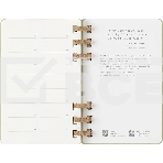 Еженедельник Moleskine ACADEMIC SPIRAL DHSPK5212AMWH3 Large 150х210мм 200 стр. кремовые страницы спираль киви, фото9