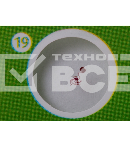 Набор микропрепаратов Levenhuk LABZZ CP24, существа и растения (72870)