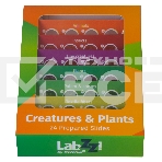 Набор микропрепаратов Levenhuk LABZZ CP24, существа и растения (72870), фото11