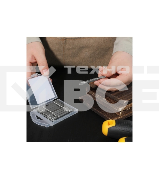 Набор двухсторонних бит 10 шт Deli DL6902 PH2x65мм, сталь S2 с твердостью 58-60HRC, пласт.кейс