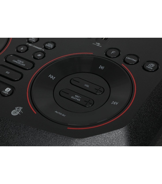 Минисистема LG XBOOM RNC5 черный 300Вт FM USB BT