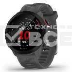 Умные часы Garmin Forerunner 55 серый 42мм, фото 1