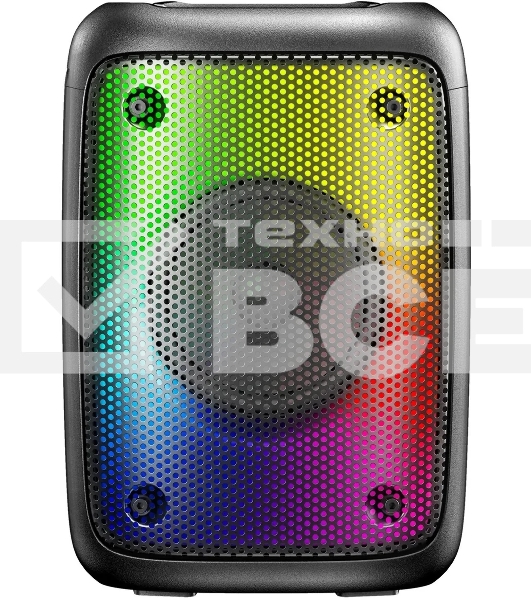 Портативная колонка Hyundai H-PS1006 черный 30 Вт 1.0 BT 10м 1500mAh