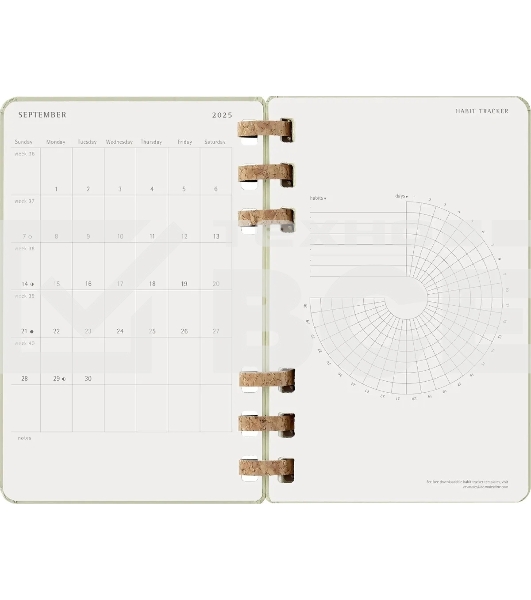 Еженедельник Moleskine ACADEMIC SPIRAL DHSPK5212AMWH3 Large 150х210мм 200 стр. кремовые страницы спираль киви