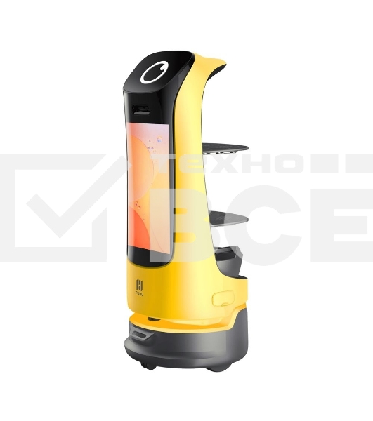 Робот Pudu Robotics KettyBot (black-yellow) PNT Standard Mode
