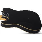 Электрогитара SCHECTER PT M/M - электрогитара 6-струнная, BLK, фото2