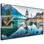 Профессиональный дисплей Vestel WU49B-2H 49
