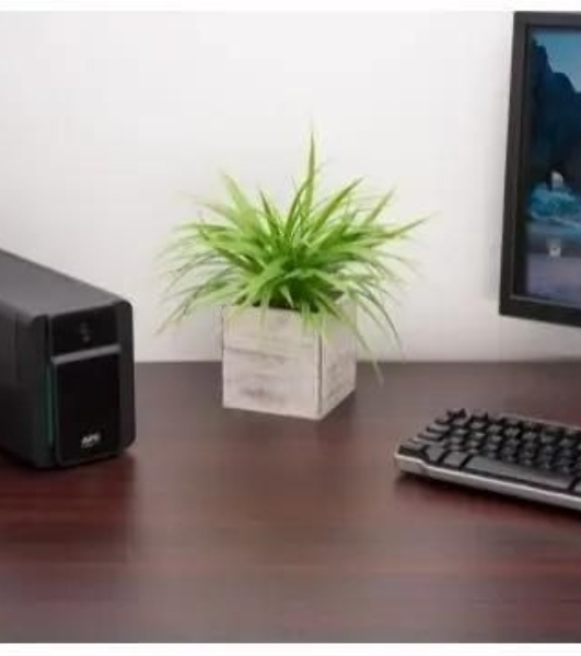 Источник бесперебойного питания APC Easy UPS BVX900LI / 900 ВA / 480W / 230V / 2 EURO 4xC13 Outlets