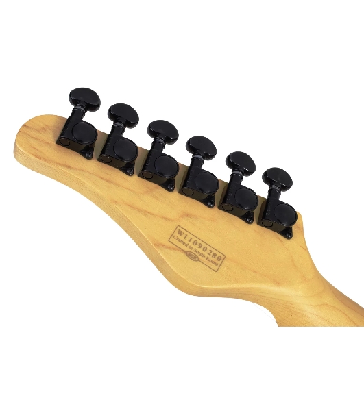 Электрогитара SCHECTER PT M/M - электрогитара 6-струнная, BLK