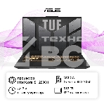 Ноутбук ASUS TUF F17 FX707ZC4-HX097 17.3