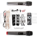 Колонка ELTRONIC 10