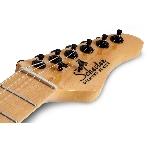 Электрогитара SCHECTER PT M/M - электрогитара 6-струнная, BLK, фото5