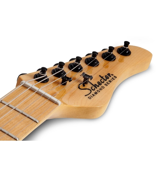 Электрогитара SCHECTER PT M/M - электрогитара 6-струнная, BLK