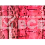 Набор микропрепаратов Levenhuk N10 NG, фото10