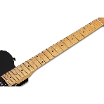 Электрогитара SCHECTER PT M/M - электрогитара 6-струнная, BLK, фото6