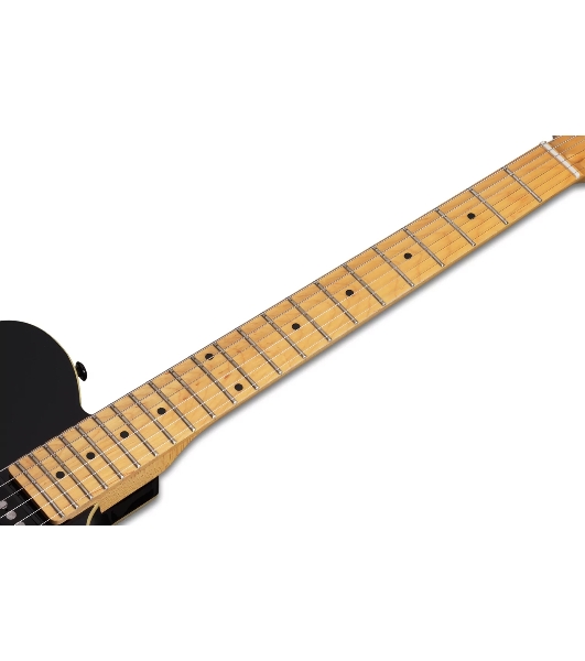 Электрогитара SCHECTER PT M/M - электрогитара 6-струнная, BLK