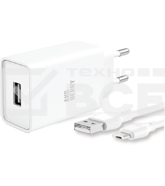 Зарядное устройство Aksberry T40 1USB 24A + MicroUSB (белый)