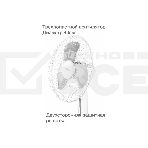 Вентилятор Blackton Bt F1114 White-Gray (2в1 ч/б коробка + 1 ч/б коробка). (2в1 ч/б коробка + 1 ч/б коробка) Потребляемая мощность: 45 Вт, Тип управления: Механический, Количество скоростей: 3, Диаметр решетки: 40 см, Длина сетевого шнура: 1.45 м, Защита от поражения электротоком: Класс II', фото3