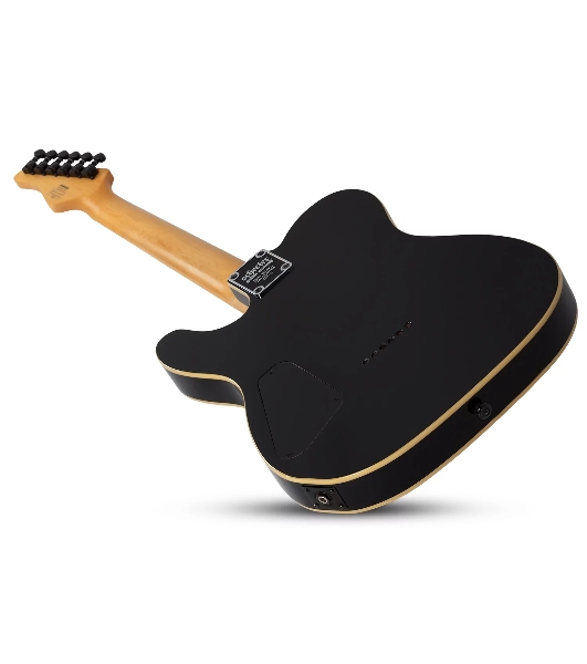 Электрогитара SCHECTER PT M/M - электрогитара 6-струнная, BLK