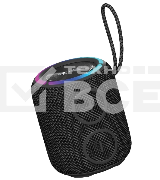 Портативная колонка AIWA PAS-H100 черный