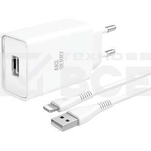 Зарядное устройство Aksberry T40 1USB 24A + Lightning (белый)