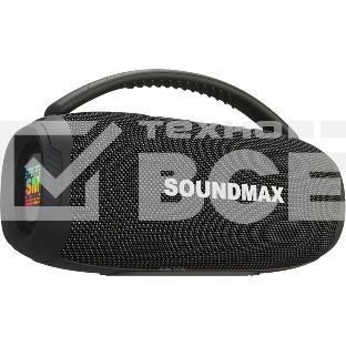 Колонка беспроводная Soundmax SM-PS5031B(черный)