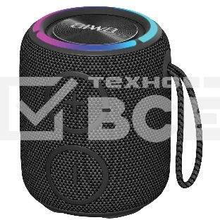 Портативная колонка AIWA (19175) PAS-H100 черный