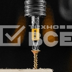 Набор бит Denzel PZ2х50, сталь S2, 10 шт., круглый профиль, отрывная упаковка, фото3