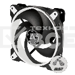 Вентилятор для корпуса Arctic BioniX P120 белый, 120 мм, 2100 об/мин, 24 дБ, 4 pin, фото 1
