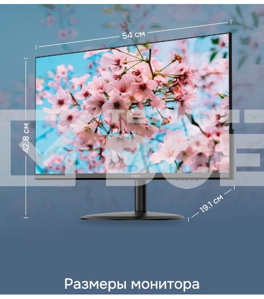Монитор 23.8' Polar P24F11M IPS 1920x1080, 100 Гц, 5 мс, 16:9, 250 кд/м², VGA, HDMI, черный