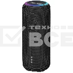 Портативная колонка AIWA (19177) PAS-H200 черный, фото 1