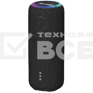 Портативная колонка AIWA (19177) PAS-H200 черный