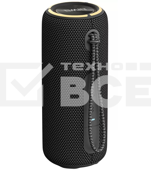 Портативная колонка AIWA (19177) PAS-H200 черный