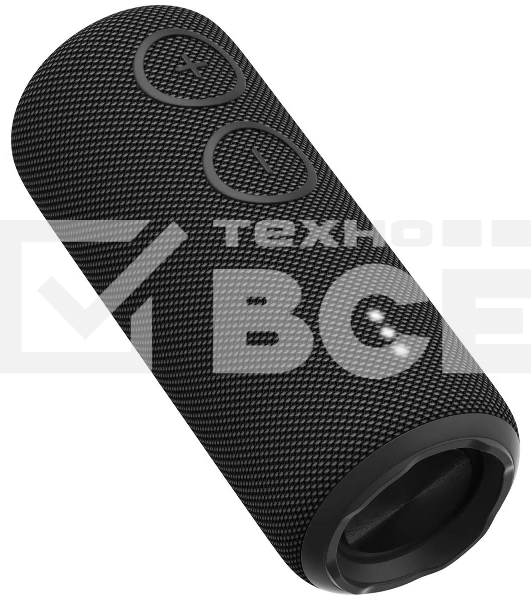 Портативная колонка AIWA (19177) PAS-H200 черный