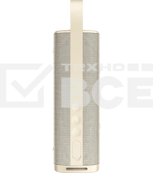 Портативная колонка XIAOMI Sound Outdoor S29H-GL Gold (QBH4370GL)