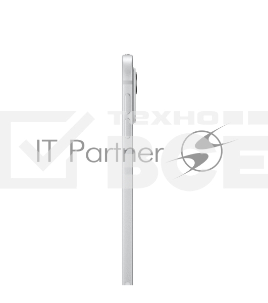 Планшет Apple iPad Pro 2024 A2837 11' 8GB, 256GB, LTE, eSIM, iOS серебристый