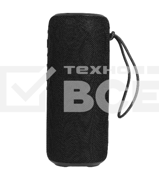 Колонка беспроводная AIWA PAS-H300 черный