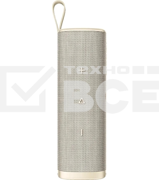 Портативная колонка XIAOMI Sound Outdoor S29H-GL Gold (QBH4370GL)