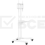 Стойка для телевизора Cactus CS-ST04 белый, 37'-70' макс. 68 кг, напольный, мобильный, фото4