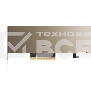 Видеокарта Nvidia Tesla A2, 1 year
