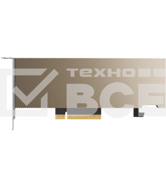 Видеокарта Nvidia Tesla A2, 1 year