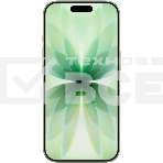 Смартфон Apple iPhone 17 A3520 8/512Gb шалфей, фото2