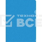 Папка-уголок Silwerhof Eco тисненый A4 пластик 0.12мм синий, фото 1