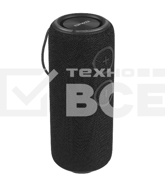 Колонка беспроводная AIWA PAS-H300 черный