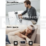 Портативная колонка Ritmix SP-3010 черный, фото6