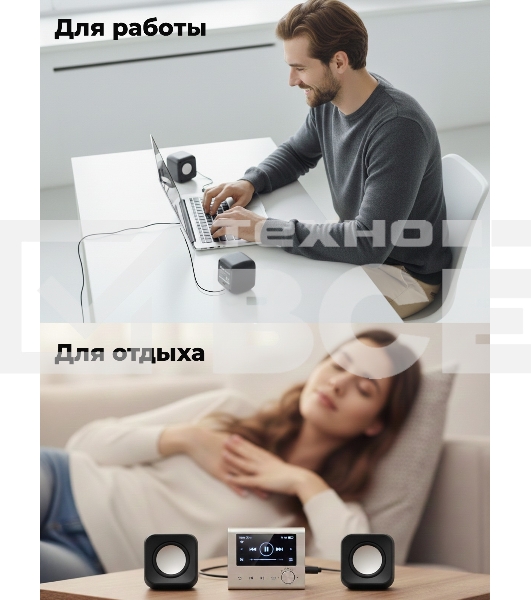 Портативная колонка Ritmix SP-3010 черный