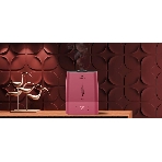 Ультразвуковой увлажнитель воздуха LORIOT Vega LHS-C530E, 5.3л, бордовый/черный, фото2