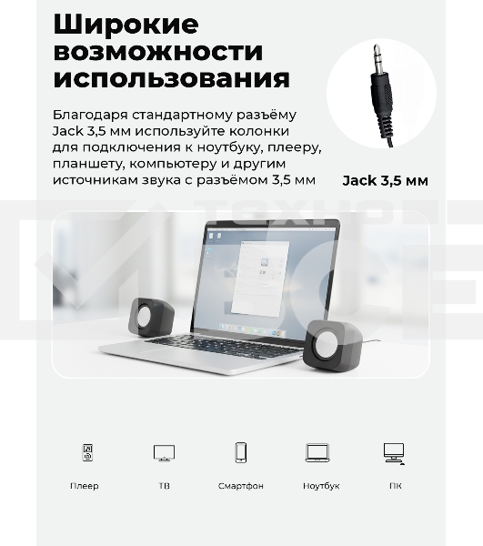 Портативная колонка Ritmix SP-3010 черный