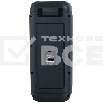 Портативная колонка RITMIX SP-875B черный, фото4