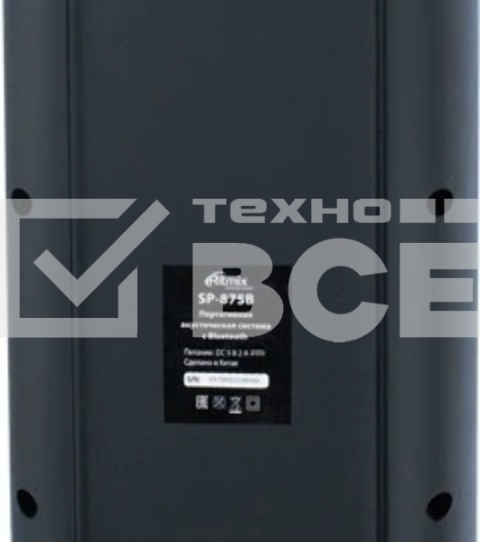 Портативная колонка RITMIX SP-875B черный